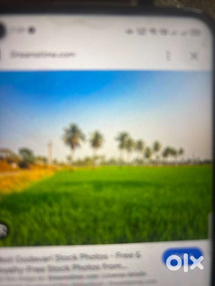 Agri land for sale in Eluru, AP