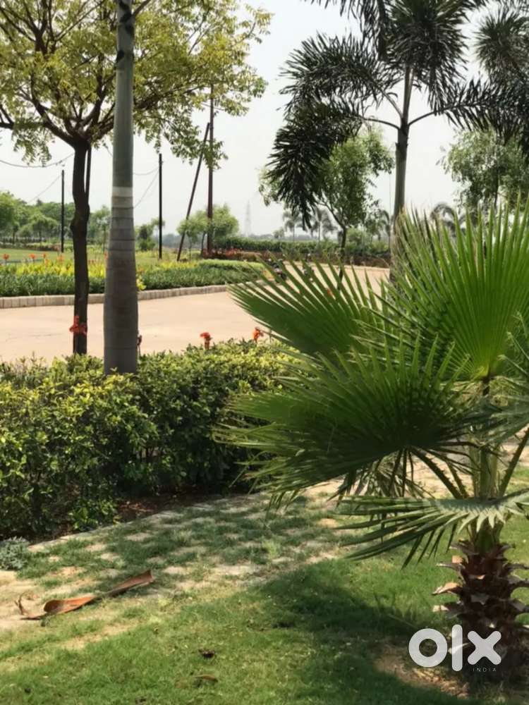 105 एकर की डेवलपड कॉलोनी मे आवसीय एवं इन्वेस्टमेंट लॉट उपलब्ध