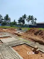 5.5 CENT HOUSE PLOT SALE MADAVANA
