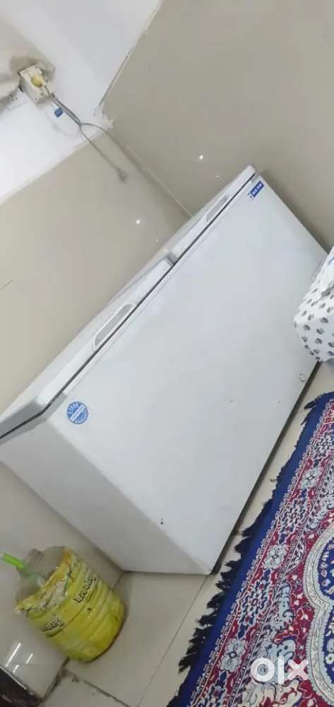 500 liters Blue Star Defrezer for sale urgent for sale