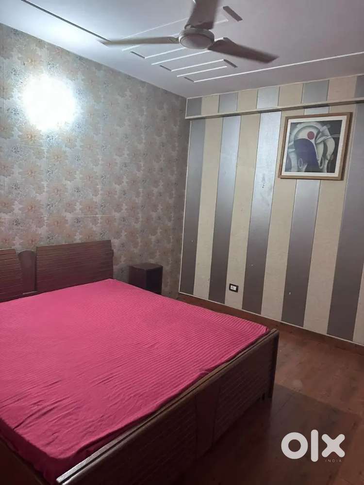 Newly Renovated 3bhk Independent Furnished flat