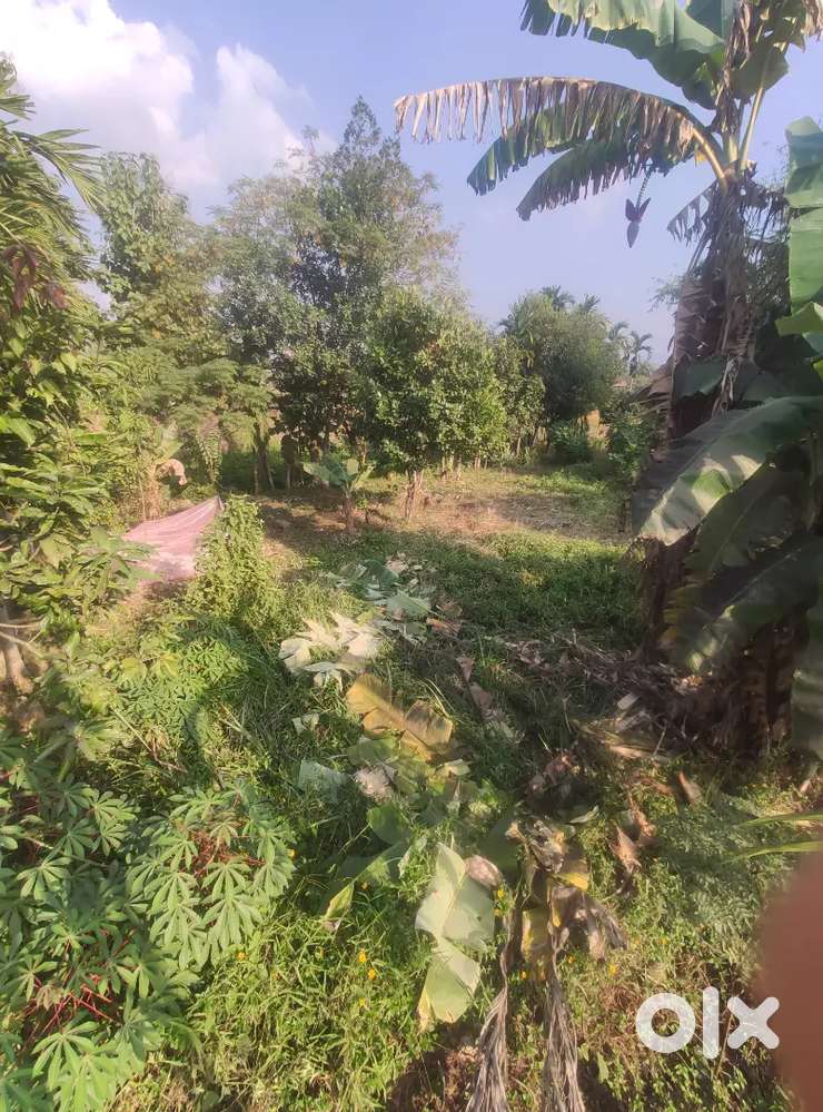 Naga United Village, Land for Sale