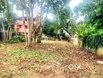 Land at PJ Antony road Pachalam
