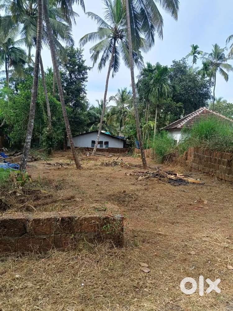. വീട് വെക്കാൻ അനുയോജ്യം റോഡ് സൈഡ്. Ch മുക്ക് parapram റോഡ് പിണറായി.