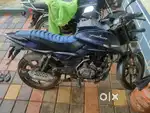 pulser 150 2017 model
