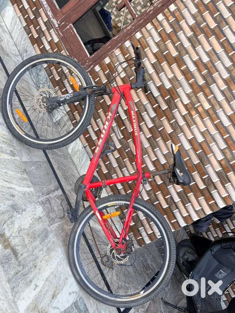 sell 3 bicycles