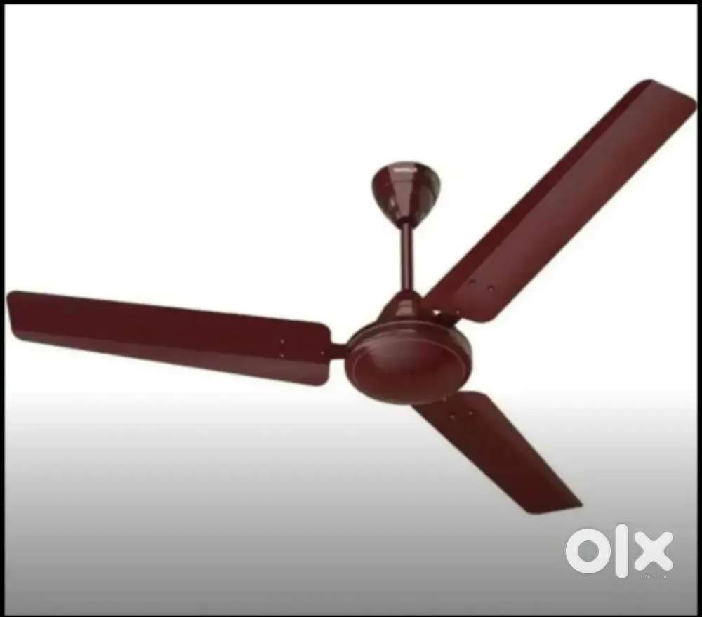 Branded Box Pack Ceiling Fan