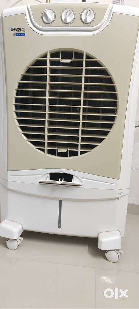 Windus Blue Star Cooler