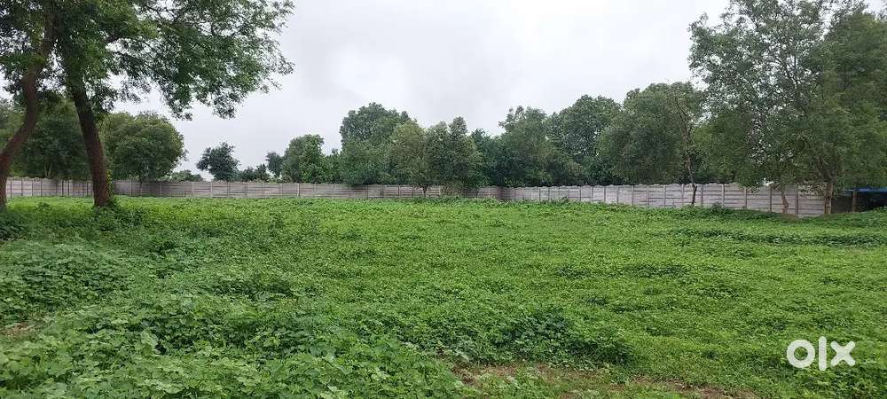 NA weekend Plots @325/sq.ft