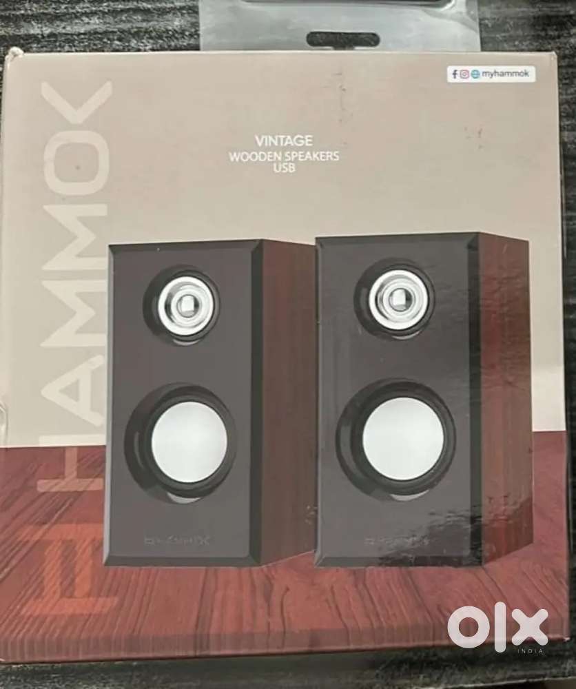 Computer USB speaker