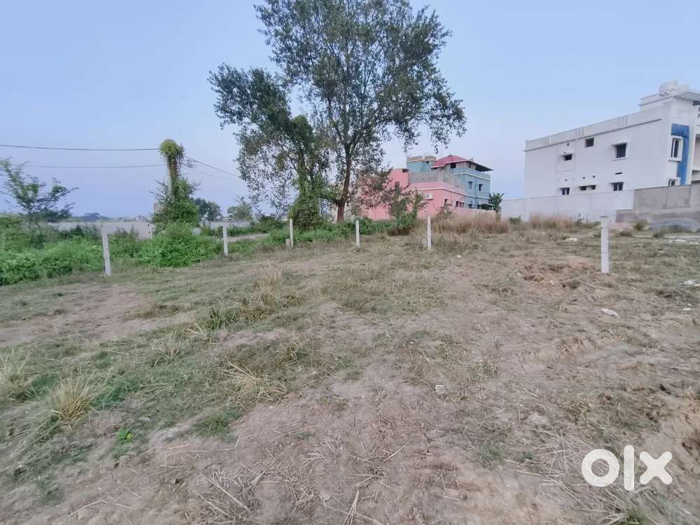 I want to sale my plot if any buddy's want to purchase pls contact