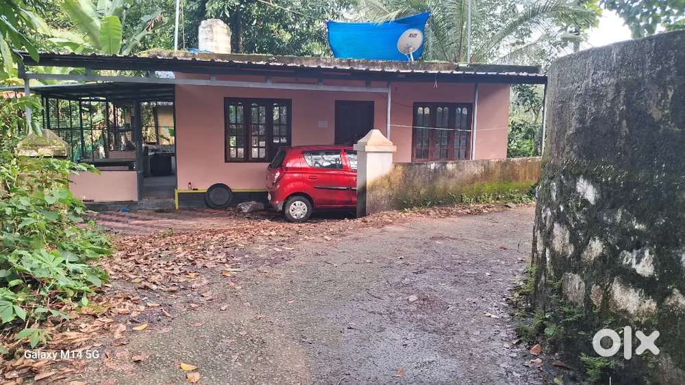 House for sale in Vadasserikkara, pathanamthitta