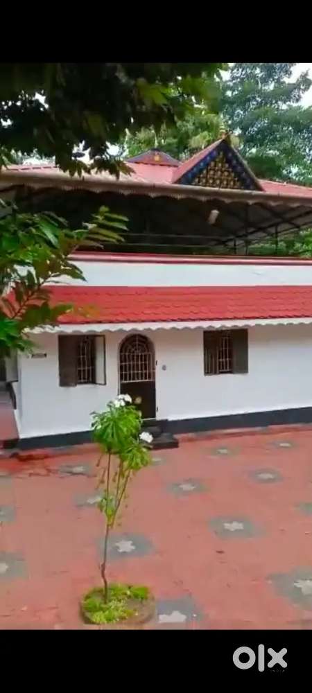 15 cent plot  & House for sale