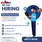 Marketing Executive