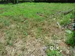 5Cents of Prime Residential Property in Kadavanthra