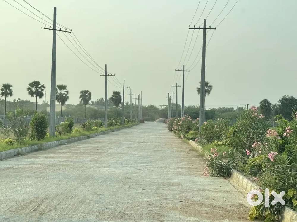 Plot for sale@ Mamnoor