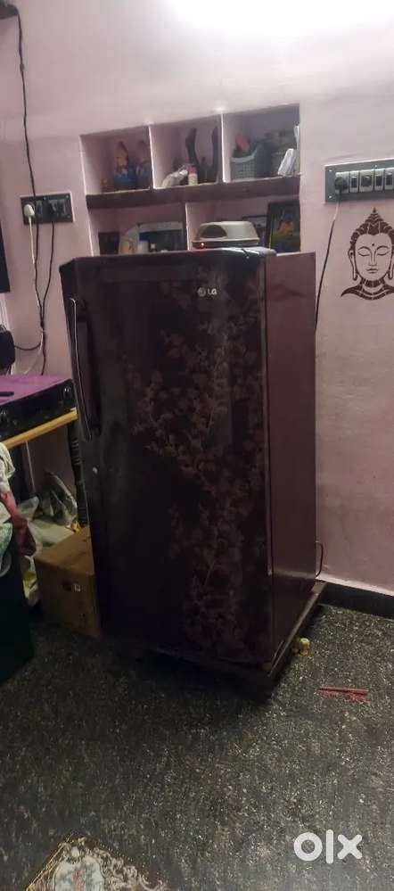 LG fridge running