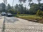 @ANGAMALY - PULIYANAM