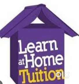 Online Tutor