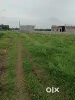 Industrial farmland in indore cat road Rau