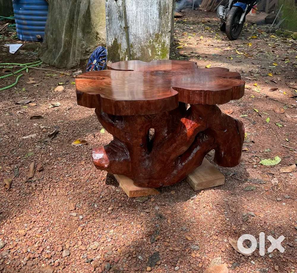 Unique rustic wooden coffee table made from a sturdy tree