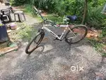 Cycle for sale