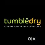 Runner Needed for Reputed Tumble Dry Laundry Store – Mylapore