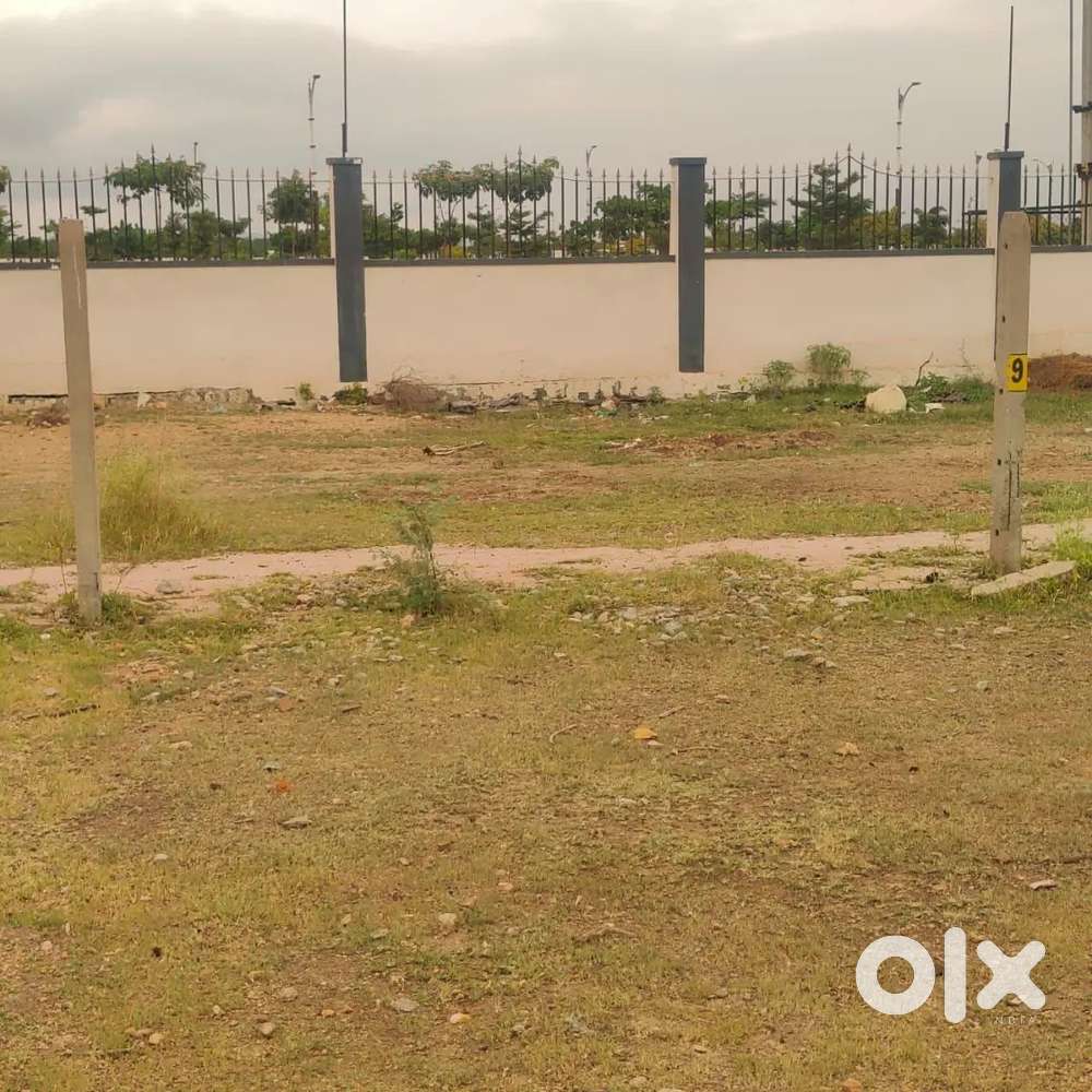 Lotus colony, behind taha school cowl bazzar, Ballari