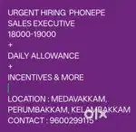 PHONEPE - SALES EXECUTIVE