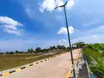 Invest in Land, Invest in Your Future