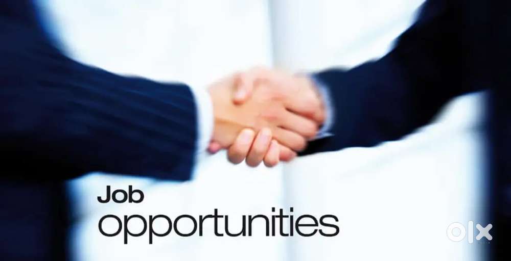 Personal assistant , only for female , knowledgeable