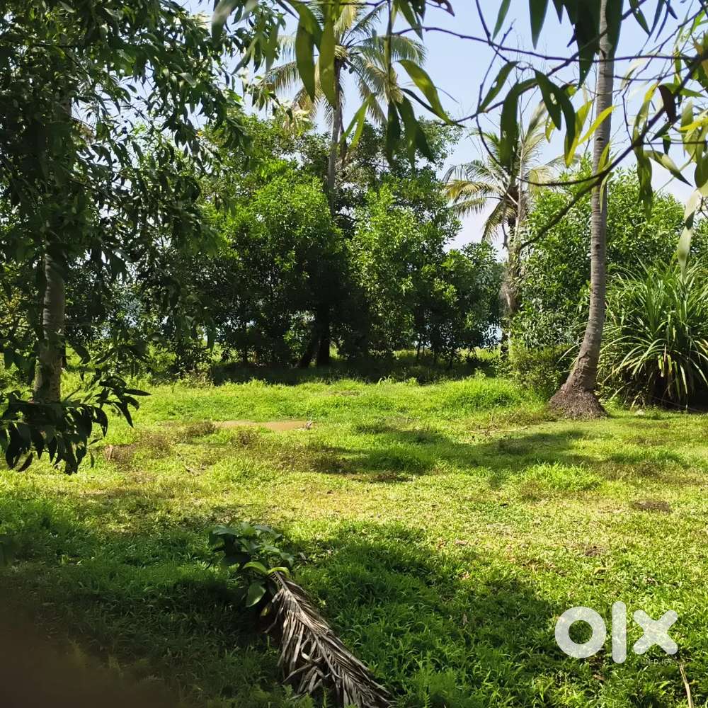 60 cent plot for sale