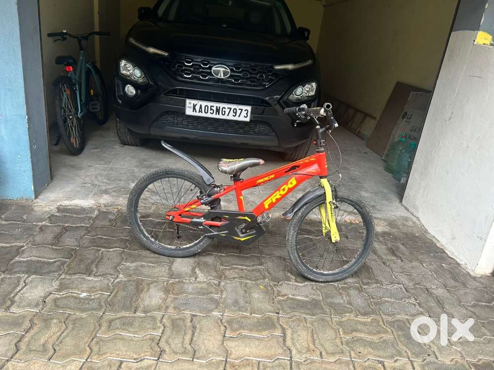 5 Year old Frog kids cycle for urgent sale