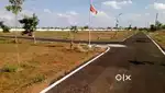 TNRERA பட்ஜெட் plots