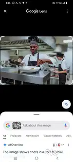 South Indian dosa cook