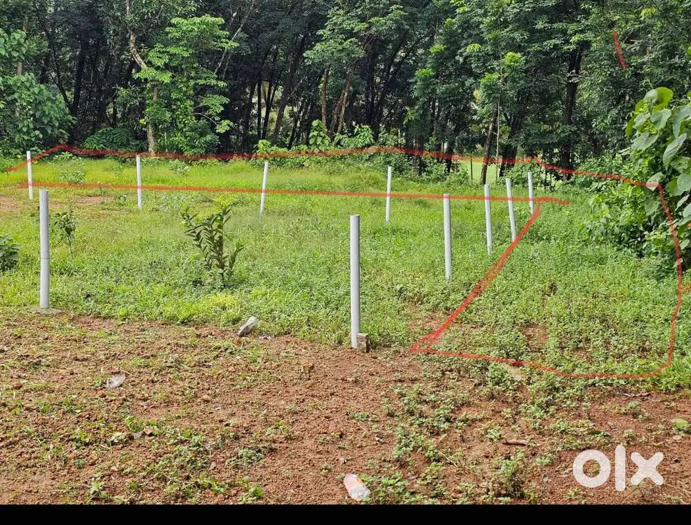 9 cent house plot for sale