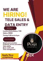 TALE SALES AND DATA ENTRY