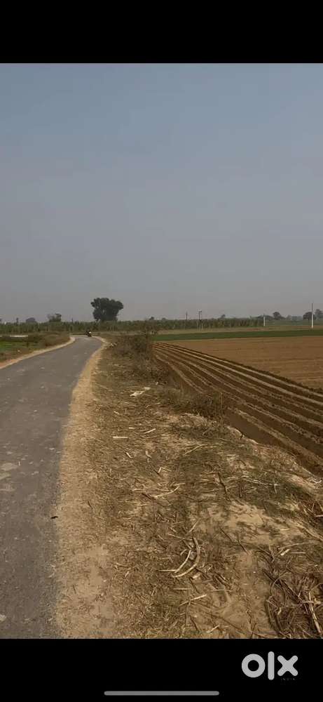 3.5 beegha land sale