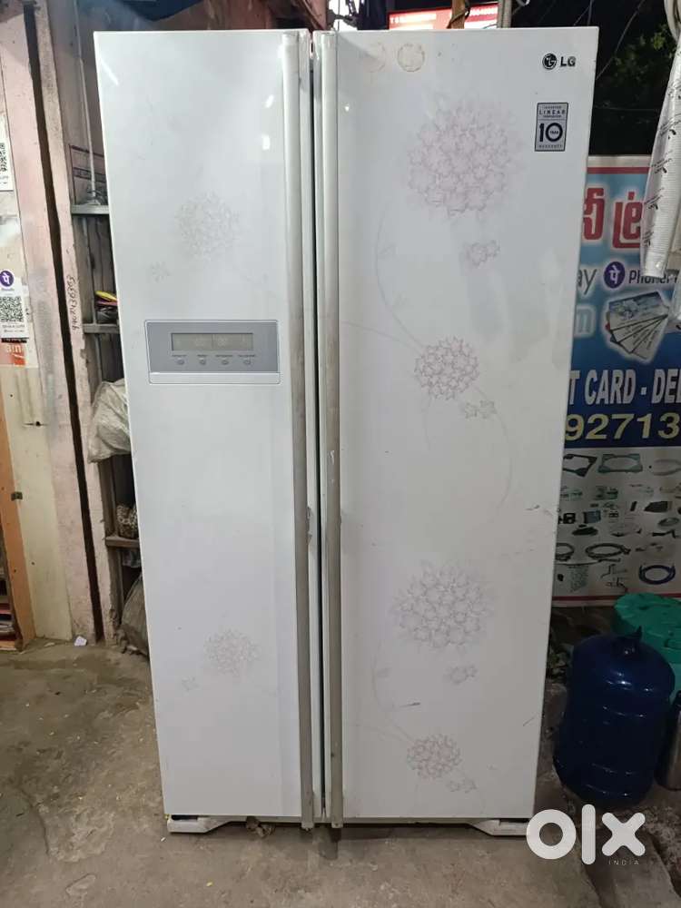 Lg double door