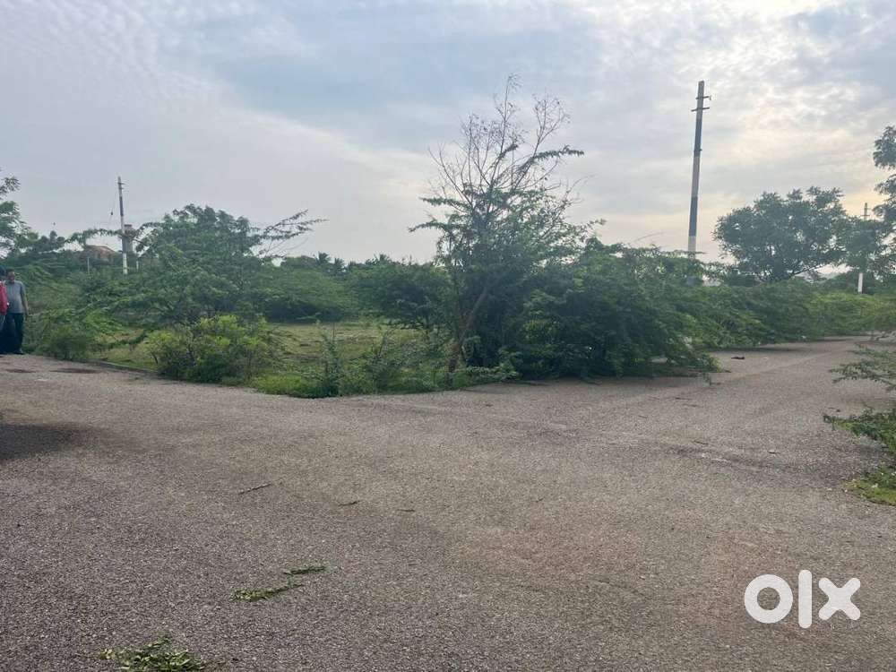 Premium Corner Plot for Sale in Bellary – 1000 Sq Ft  BUDA Approved
