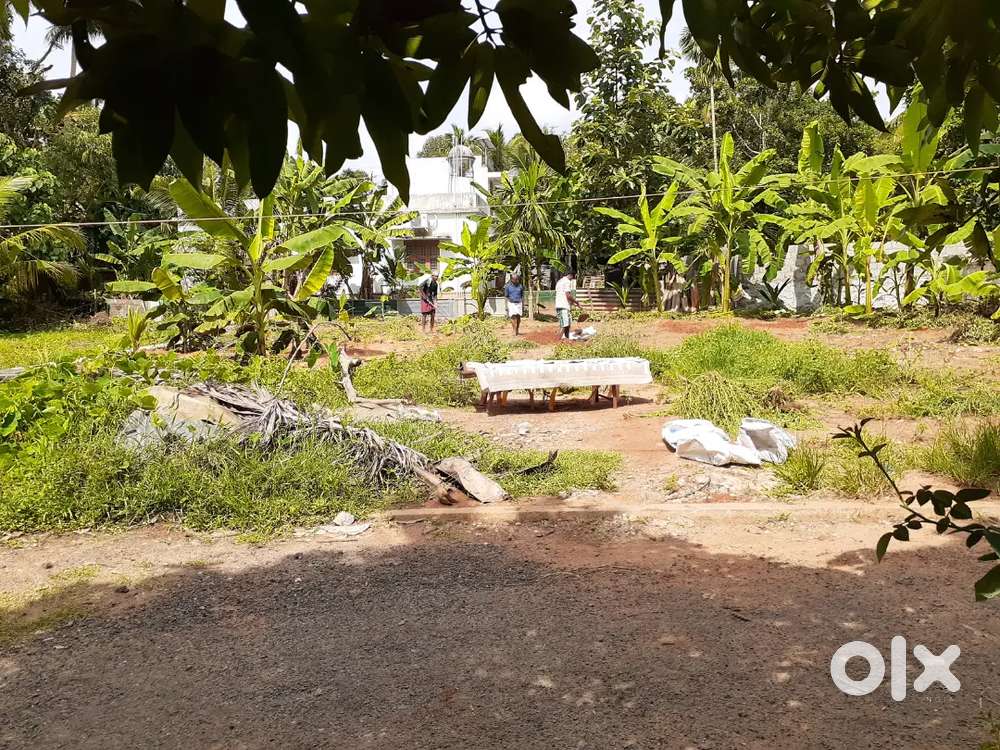 Good house plot one km from nh66  near randathani, kolakkad
