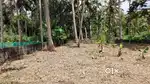 13.360 cent plot near CRPF Jn for sale.