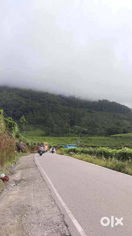 Chef for a property in munnar