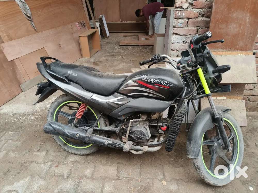 Argen sale passion pro