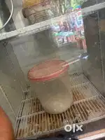 Bhu campus fruit shop worker ke jarurat hai