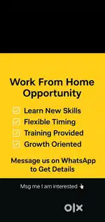 Online business opportunity