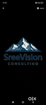 Sreevision consulting
