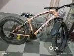 Cycle in new condition