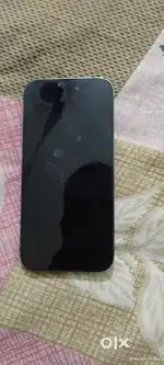 14 Pro Model