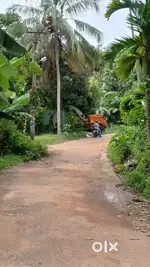 33 CENTS DRY LAND FOR SALE IN KACHANI